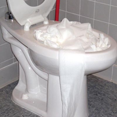 How to Fix A Clogged Toilet, Unclog a Toilet